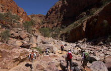 Larapinta-Trail-Tourism-NT-Allan-Dixon-123682-56-980x653.jpg.jpg