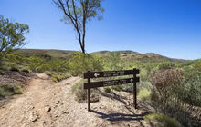 Larapinta-Trail-Tourism-NT-Shaana-McNaught-124000-56-480x320.jpg.jpg