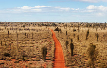 Longitude-131_Ayers-Rock-Uluru_Desert-Vertical680x400.jpg