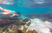 Ningaloo-Reef,-Turquoise-Bay,-Exmouth,-Tourism-WA113006.jpg