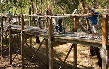 Phillip-Island-Koala-Conservation-Centre-PINP-Ross-Holmberg-132941-56.jpg