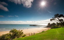 Phillip-Island-Penguins---Cowes-Beach,-Phillip-Island,-David-Hannah-vv133377-56.jpg