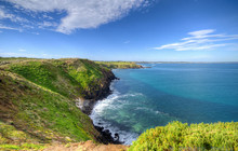 Phillip-Island-Penguins---Nobbies-Centre-Coastline-Boardwalk.jpg