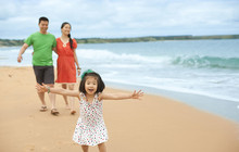 Phillip-Island-Penguins---Phillip-Island-Beach-Walk,-Robert-Blackburn-vv130323-56.jpg