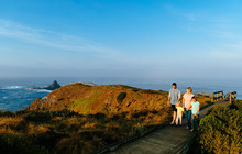 Phillip-Island-Penguins---Pyramid-Rock-walk,-Destination-Phillip-Island-vv146023-56.jpg