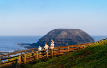 Phillip-Island-Penguins---The-Nobbies-Boardwalk,-Destination-Phillip-Island-vv145988-56.jpg