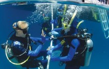 Poseidon_Diving.jpg