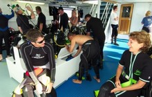 SOF_-_Dive_Deck_Medium.jpg