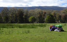Tas-01144.jpg