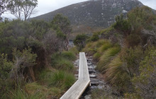 Tas-01473.jpg