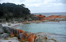 Tas-456.jpg