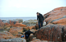 Tas-467.jpg