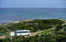 Tas-502.jpg