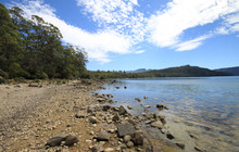 Tas-6932.jpg