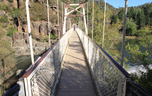 Tas-7216.jpg
