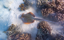 Turquoise-Bay,-Ningaloo-Reef,-Exmouth,-Tourism-WA,-113015-56.jpg