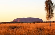 Uluru-Uluru-Kata-Tjuta-National-Park-NT-Credit-TA.jpg