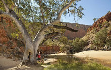 West-MacDonnell-Ormiston-Gorge-Tourism-NT-Paddy-Pallin-131141-56-small-980x653.jpg.jpg
