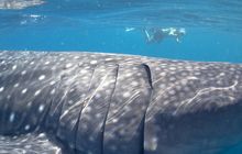 Western Australia Tours with Adventure Tours3.jpg