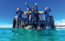 Whale-shark-swim,-Ningaloo-Marine-Park,-Ningaloo-Reef,-Exmouth,-Tourism-WA,-113582-56.jpg
