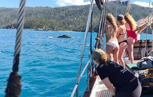 Whitsundays100.jpg
