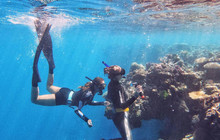 Whitsundays108_16.jpg