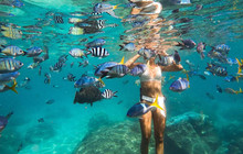 Whitsundays111_7.jpg