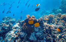 Whitsundays50_10.jpg