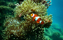 Whitsundays88_7.jpg