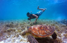 Whitsundays90_17.jpg
