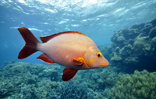 _DSC0464_0.JPG