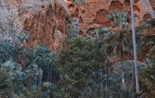 _adventuretours_52474743_351455735699360_8986099769890102628_n.jpg