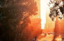 adelaust_71187248_2390737637691775_2927641142666466198_n.jpg