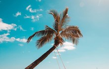 adventurefreetours_27879720_2015070085375674_8589263567784509440_n_1.jpg