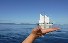 adventurequeensland_41100760_317975515659559_4763284913383077030_n_1.jpg