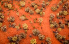alice-springs_ballooning_jpinkerton67.jpg