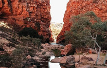 ata-uluru-tours-2023-1.jpg