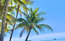 austracks_66704719_1404660673045472_2948637128401388276_n.jpg