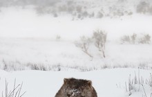 australiangeographic_72658838_137628447535907_8904030573712405190_n.jpg