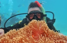 bearded_backpacker_72919950_418121695784356_6565216446000352259_n.jpg