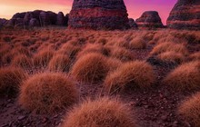 bunglebunglesavannahlodge_73053828_457918081493220_4464324393213569536_n.jpg