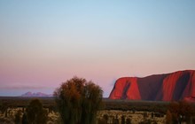 bush_bashing_beavans_69331513_2135632753404718_653210565902032352_n.jpg