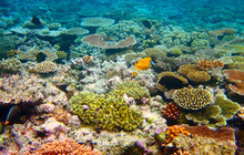 cairns4875021166_0.jpg
