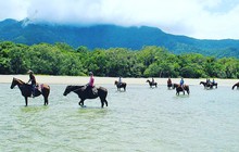 capetribconnections_62233390_498512704288947_1128279116620387067_n.jpg