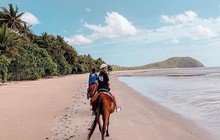 capetribhorserides_75231132_179996973313343_7036334675098794450_n.jpg