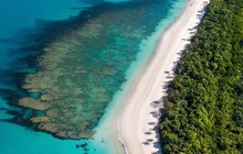 capetribhorserides_75412662_1473451886137070_3904993873610793535_n.jpg