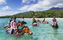 capetribhorserides_79316817_445512959482778_6947906720928067010_n.jpg