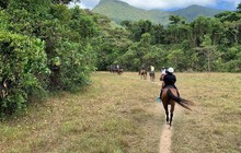 capetribhorserides_80012856_758351878010953_1104559270366308655_n.jpg