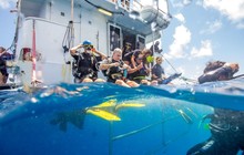 compasscruises_43984435_189508981976073_8971781701476716502_n_0.jpg