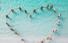cooldingotour_30603079_161720417980548_5578302622101667840_n.jpg